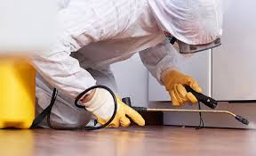 Best Termite Inspection and Treatment  in Peachtree Corners, GA